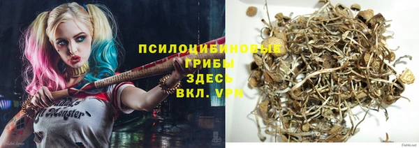 Альфа ПВП Балахна